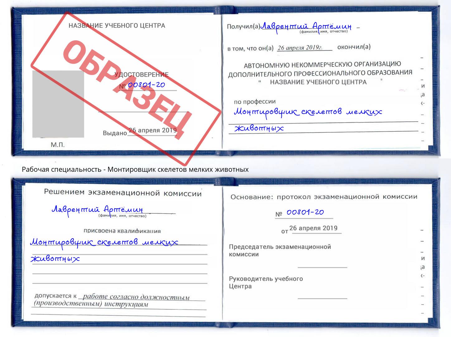 Монтировщик скелетов мелких животных Белово