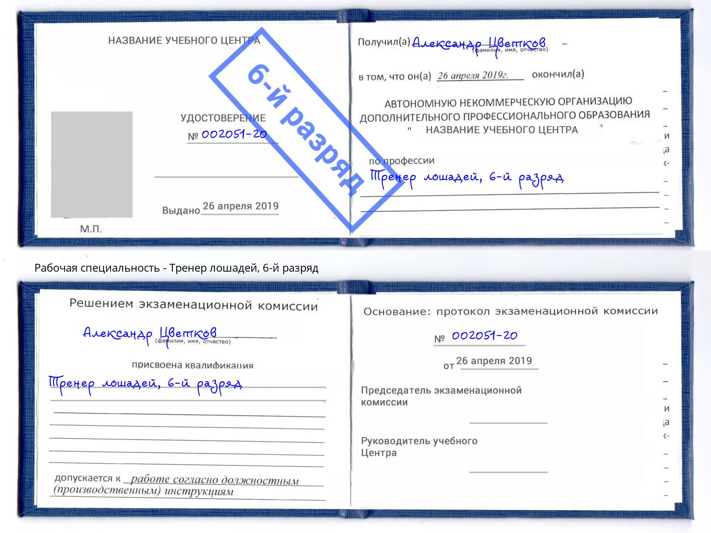 корочка 6-й разряд Тренер лошадей Белово