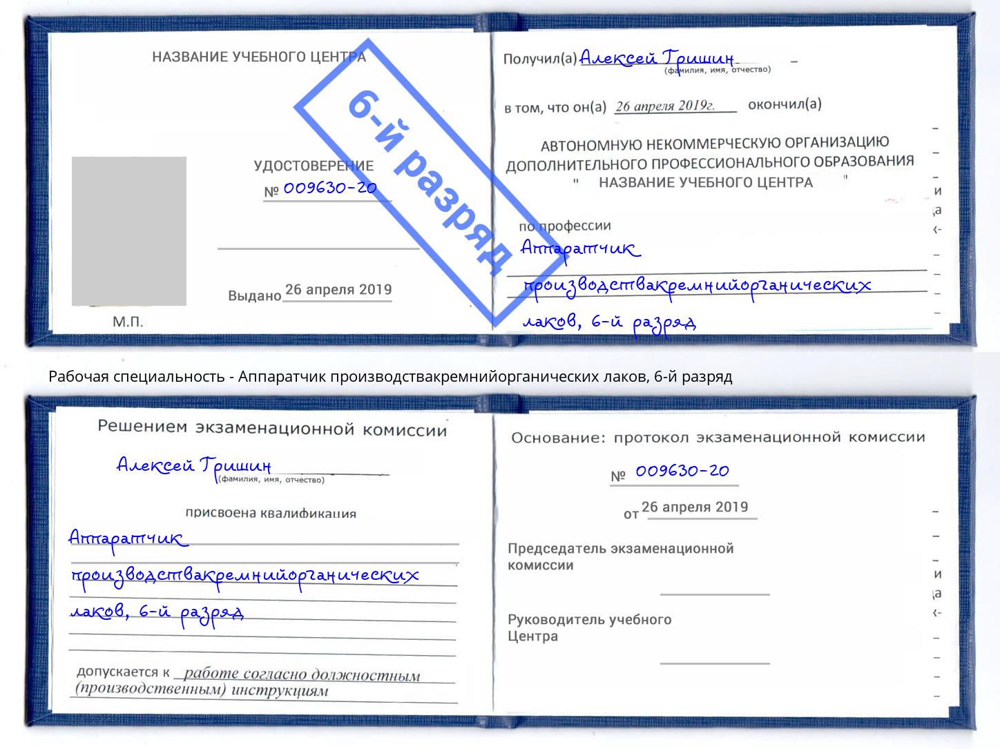 корочка 6-й разряд Аппаратчик производствакремнийорганических лаков Белово