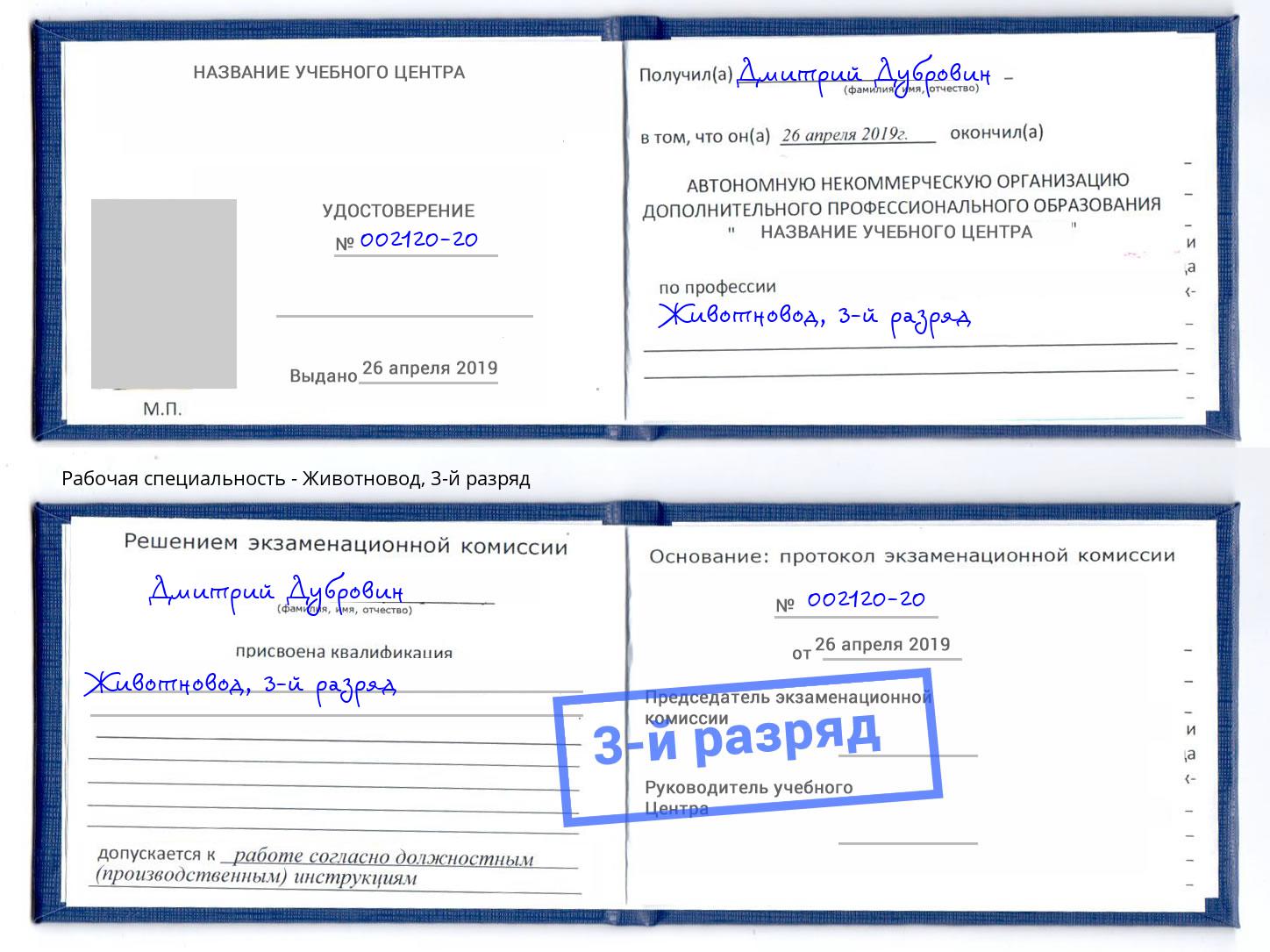 корочка 3-й разряд Животновод Белово